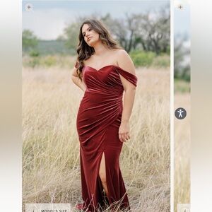 Revelry Velvet Dress